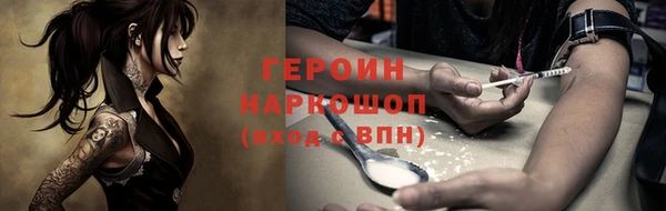 дживик Бородино