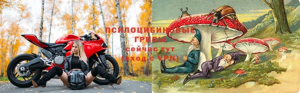 дживик Бородино