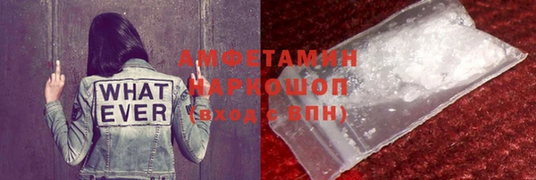 дживик Бородино