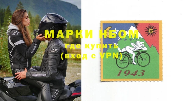 дживик Бородино