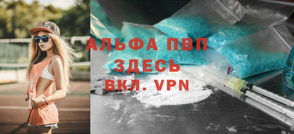 дживик Бородино