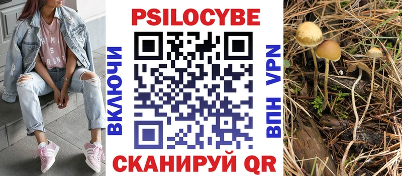 Галлюциногенные грибы ЛСД  Купить где  Гурьевск 